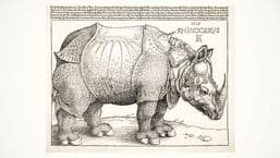 A History of the World in 100 Objects