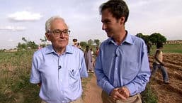 Newsnight