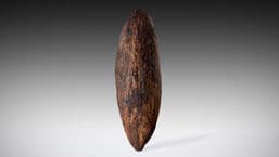 A History of the World in 100 Objects
