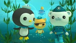 Octonauts