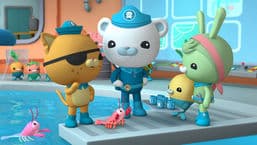 Octonauts
