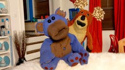 Bear Behaving Badly