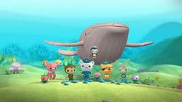 Octonauts