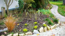 Gardeners' Question Time