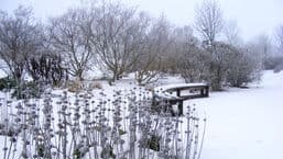 Gardeners' Question Time