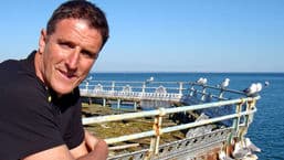 Iolo's Secret Life of Birds