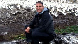 Secret Life of Birds Diaries