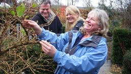 Gardeners' Question Time