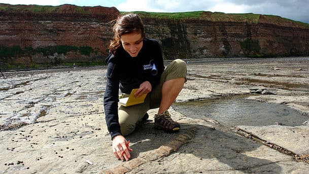 Fossil Detectives