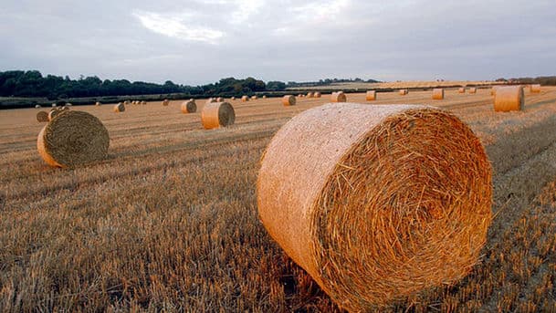 Farming Today