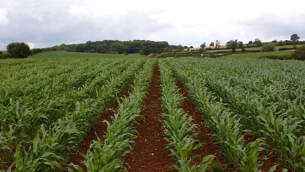 Farming Today