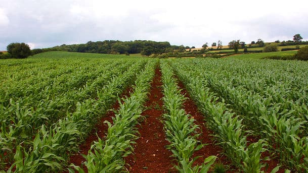 Farming Today