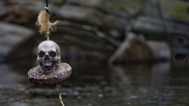 Raven