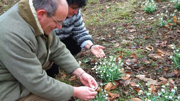 Gardeners' Question Time