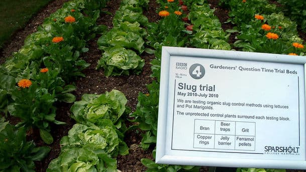 Gardeners' Question Time