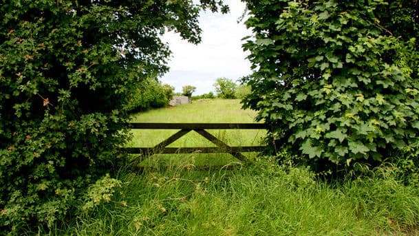 Country Tracks