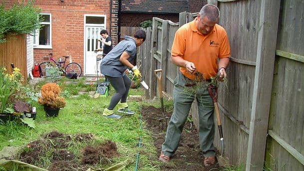 Gardeners' Question Time