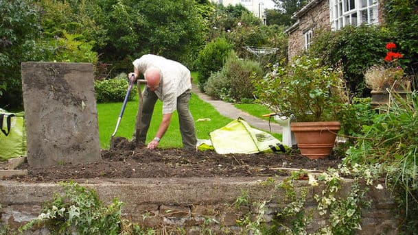 Gardeners' Question Time