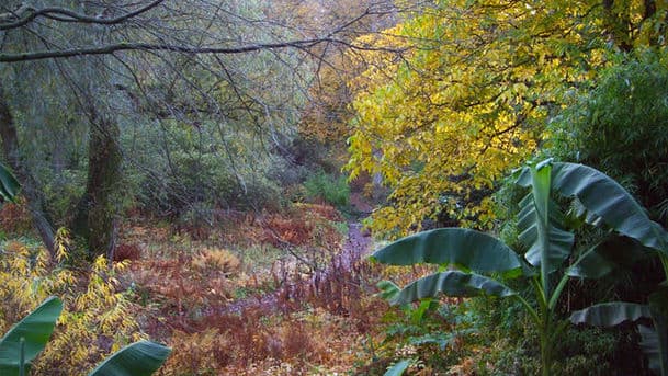 Gardeners' Question Time