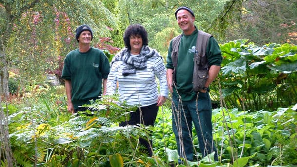 Gardeners' Question Time