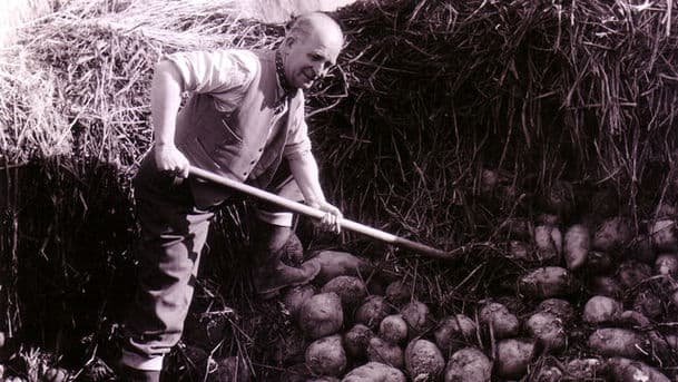 Farming Today