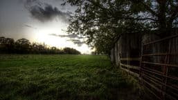 Emotional Landscapes