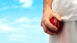 Ashes Preview