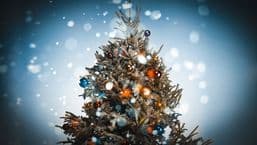 The Tinsel Takeover 2010