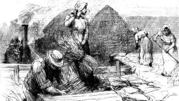 Tess of the D'Urbervilles