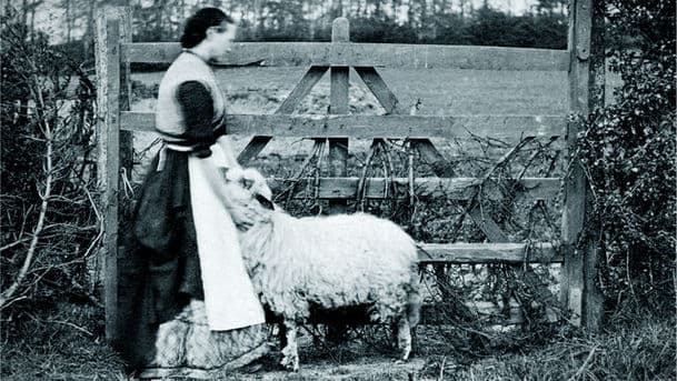 Far from the Madding Crowd