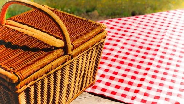 On Life and Picnics