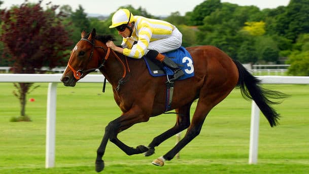 5 live Racing