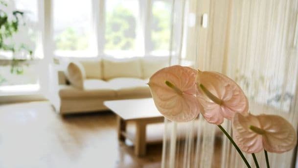 Cut & Splice: Living Rooms