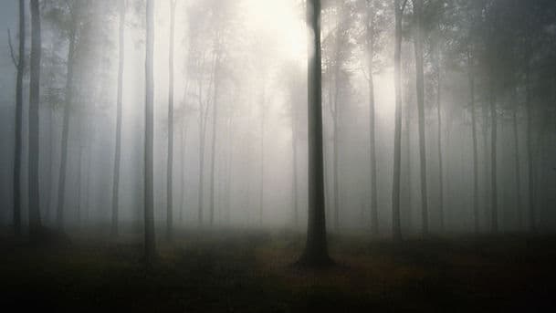 Devil in the Fog