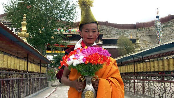 A Year in Tibet