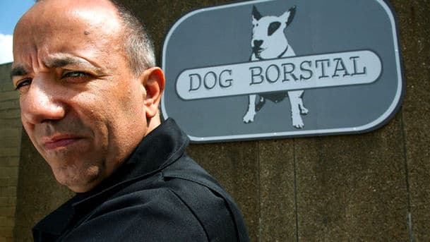 Dog Borstal