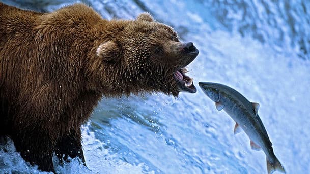Nature's Great Events