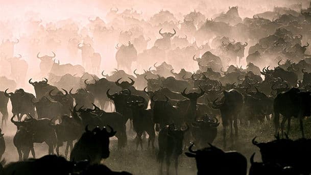 Nature's Great Events