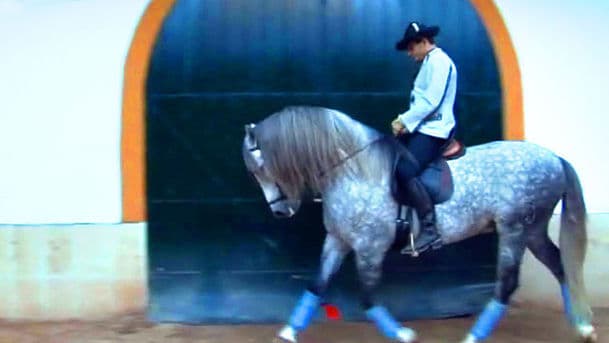 Horse People with Alexandra Tolstoy