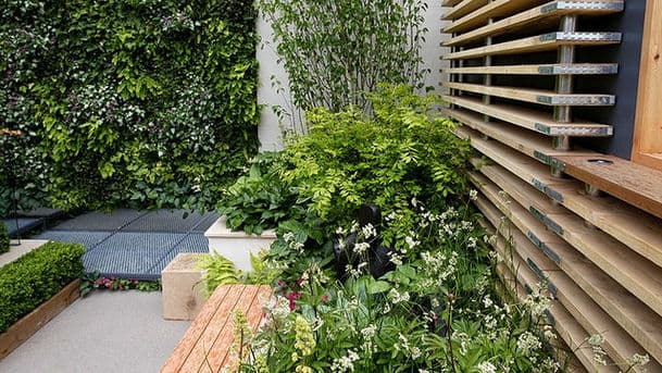 RHS Chelsea Flower Show