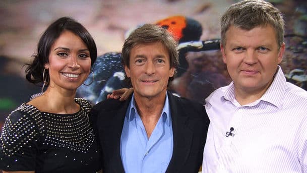 The One Show