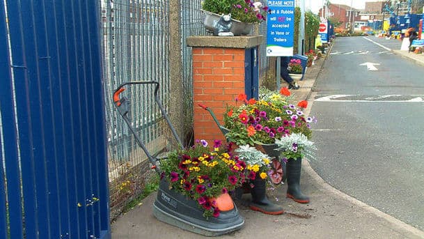 Gardeners' Question Time