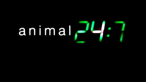 Animal 24:7