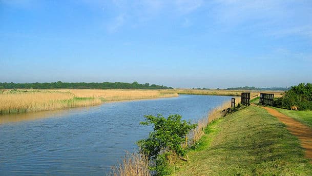 Escape to the Country