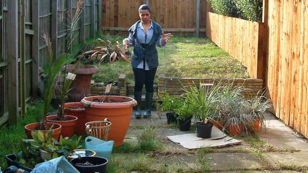 Gardeners' Question Time