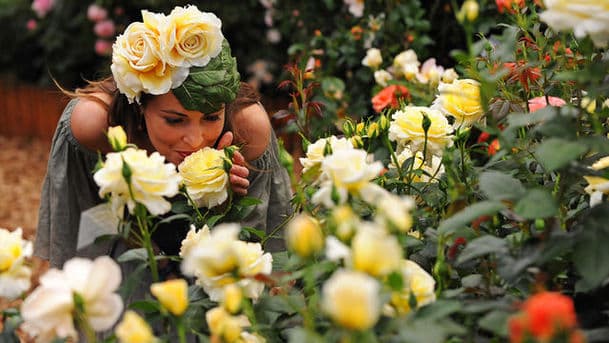 RHS Chelsea Flower Show