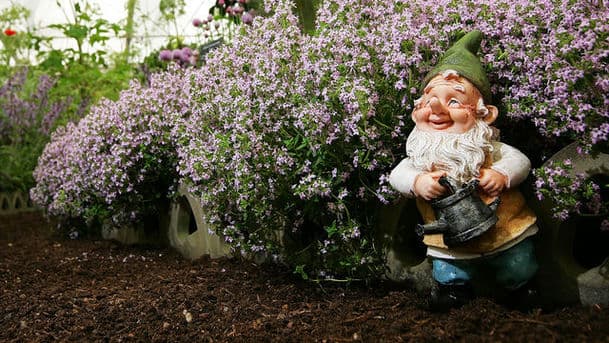 RHS Chelsea Flower Show