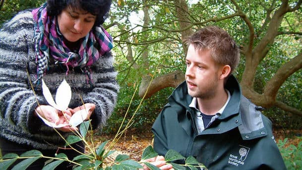 Gardeners' Question Time