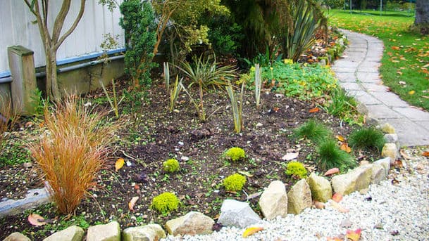 Gardeners' Question Time