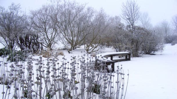 Gardeners' Question Time